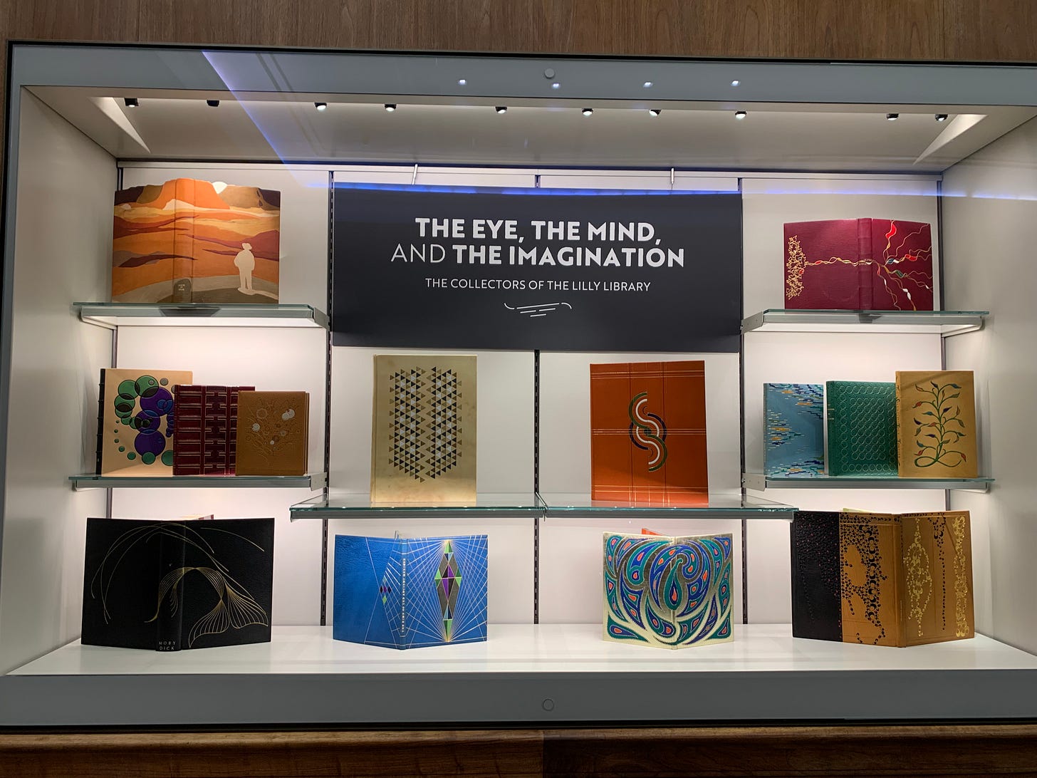 Image of a wall case with 14 Thielman books on view.