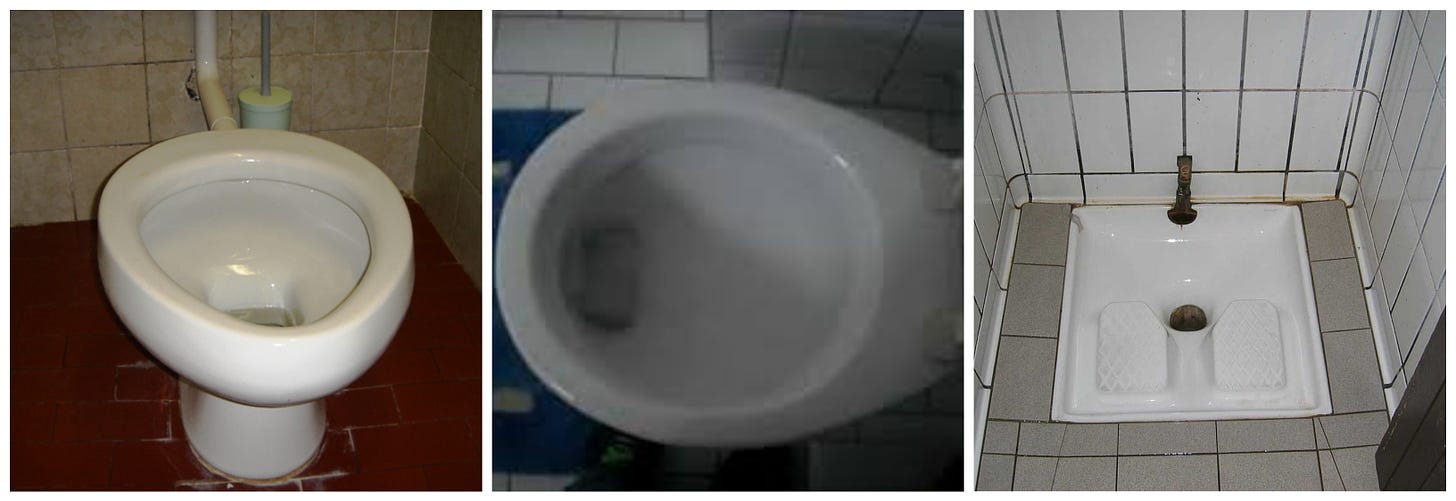 Inexplicably seatless toilets; the horrifying “shelf” toilet; and the dreaded squat toilet.
