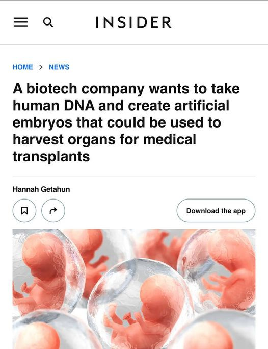 May be an image of text that says 'INSIDER HOME > NEWS A biotech company wants to take human DNA and create artificial embryos that could be used to harvest organs for medical transplants Hannah Getahun ದ Download Downloadtheapp the'