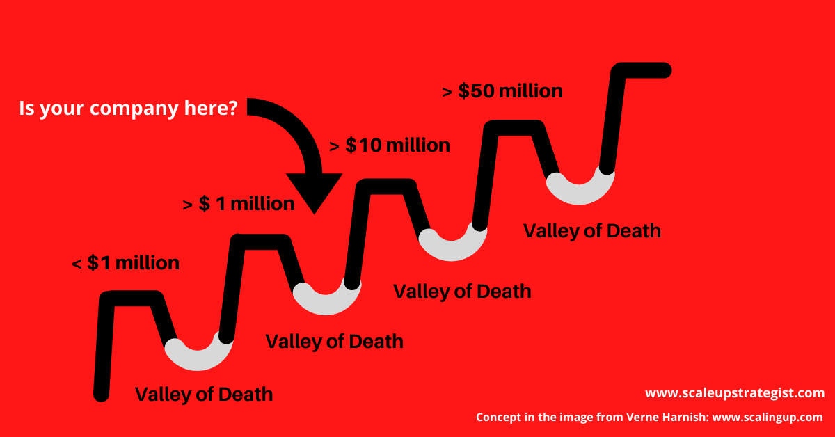 Is your company in the second Valley of Death? - Scaleup Strategist
