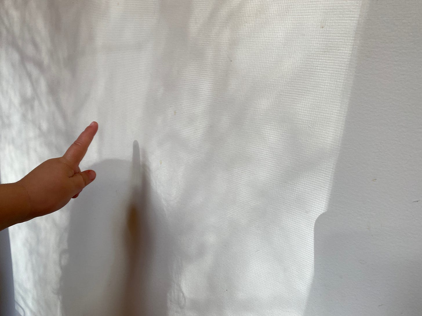 A white wall with shadows of tree branches on it. In the foreground a small hand of a toddler, points to the shapes on the wall.