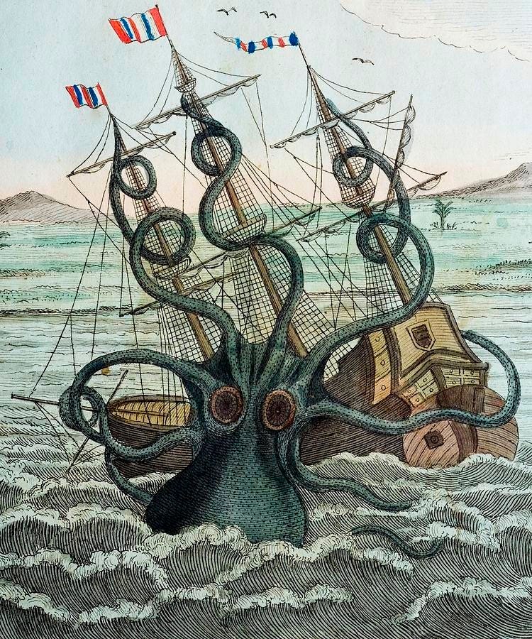 Researchers from the faculty helped to decipher the legendary kraken genome