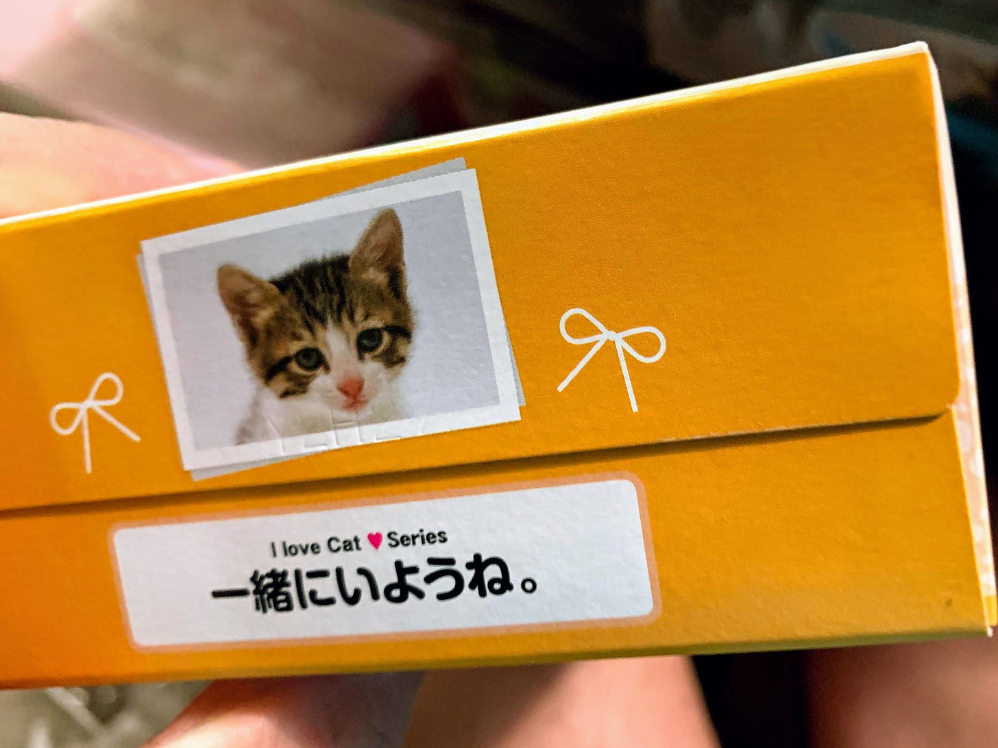 Japanese tissue Box with Kitten Photo