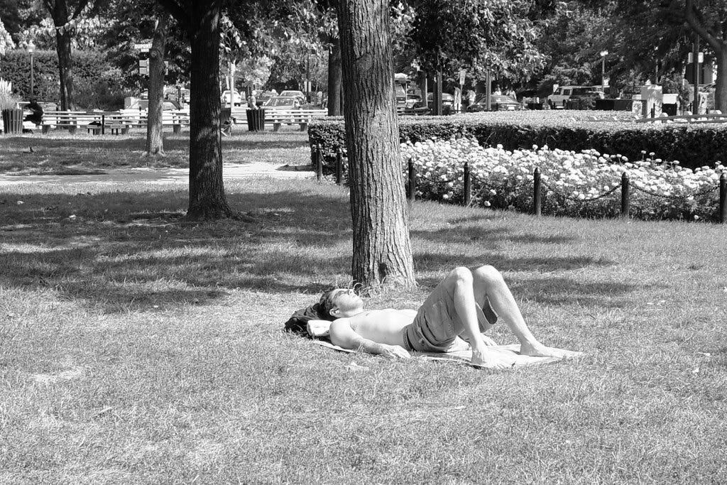 Man sunbathing in Dupont Circle | A man sunbathes on the gra… | Flickr