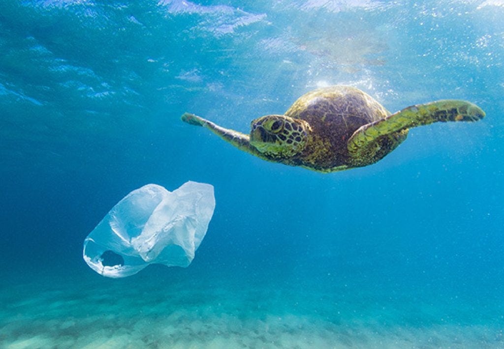Five solutions to ocean plastic pollution - Recycle Track Systems