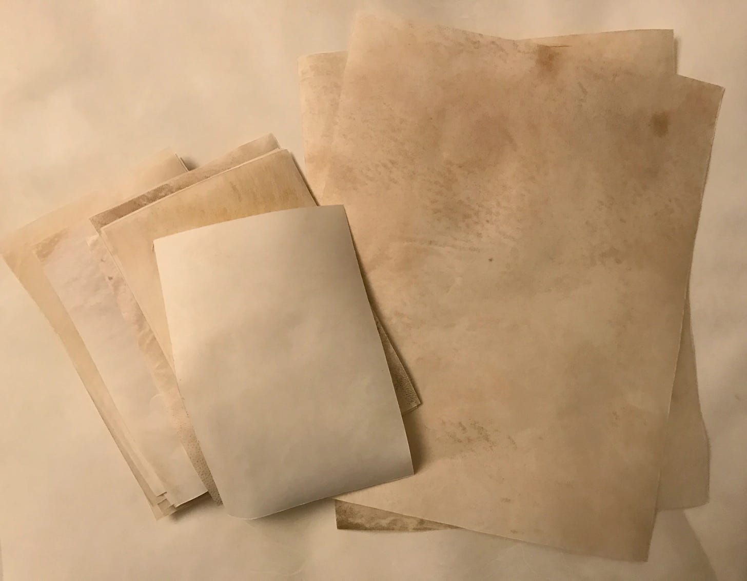 several sheets of parchment of various sizes, with natural variation in shades, too, from ivory to light tan.
