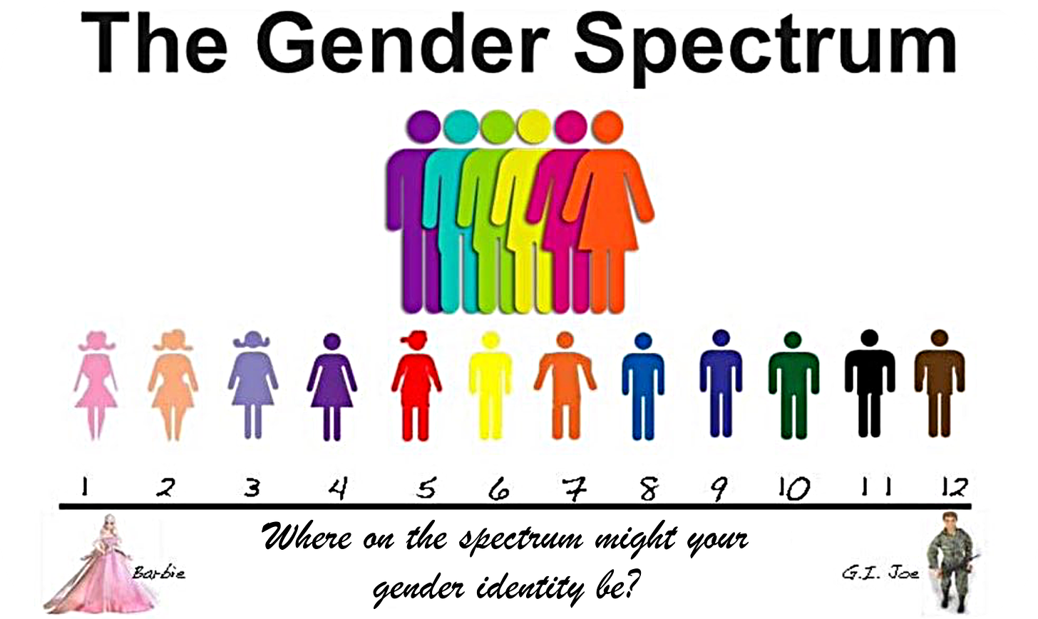 Mermaids UK teaching slide: Gender is a Spectrum. Where on the spectrum might your gender identity be? Between Barbie and G.I. Joe