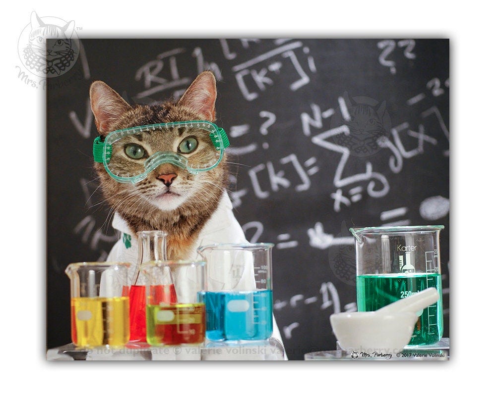 Cat Conquers Covid Cat Art Cat Science Print Cat In a | Etsy