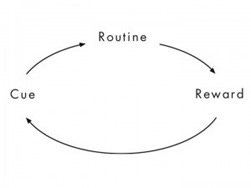 The Habit Loop - Cues trigger Routines which result in Rewards, in turn reinforcing Cues and Routines.