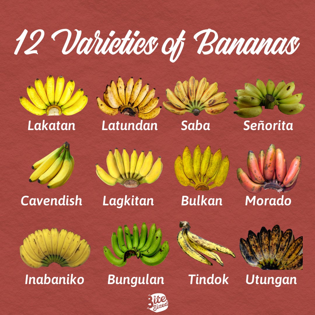 Food Almanac: Banana Varieties - Bitesized.ph