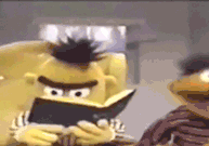 A GIF of Bert from Sesame Street looking up from a book he's reading and looking annoyed