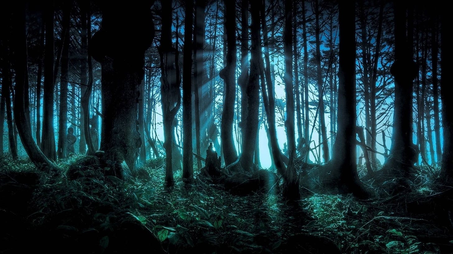 2560 X 1440 Dark Forest Wallpapers - Top Free 2560 X 1440 Dark Forest  Backgrounds - WallpaperAccess