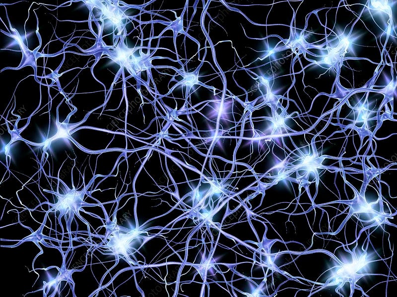 Computer artwork of nerve cells or neurons firing. in 2020 | Nerve cell,  Brain art, Artwork