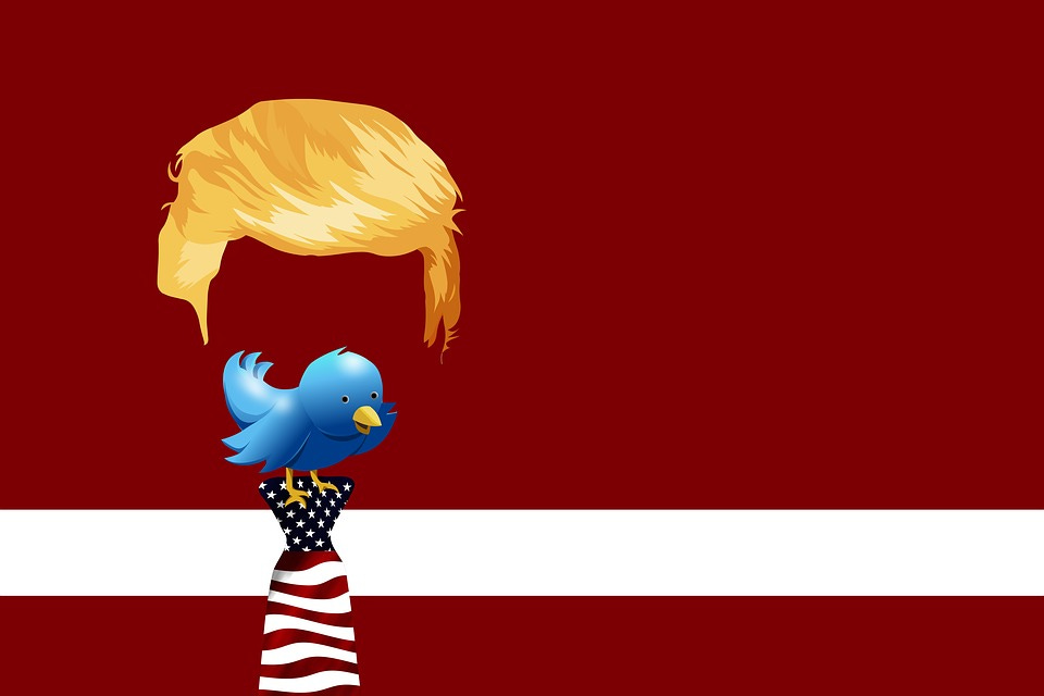 Trump, Twitter, Bird, Chirp, Tweet, Chirrup, Tweet
