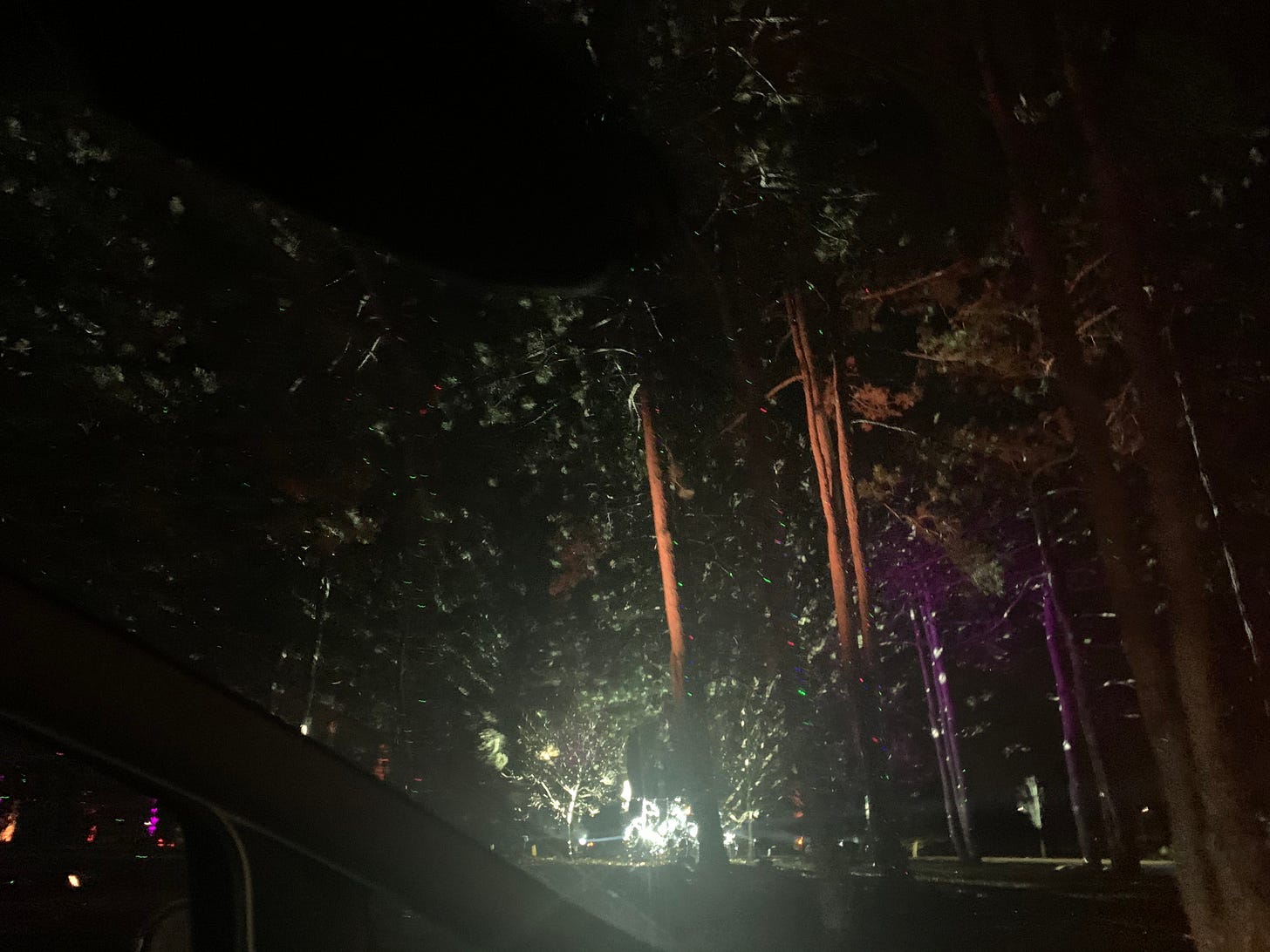 Photo out a car windshield of trees illuminated by lights on multiple disco balls.