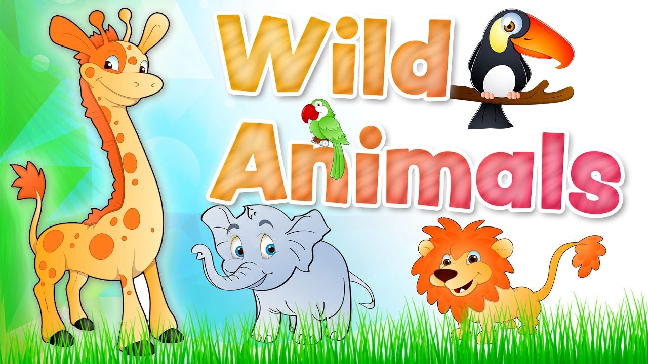 The ANIMALS for kids - Wild animals english vocabulary - YouTube