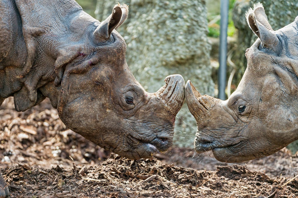 Mother and daughter having an argument