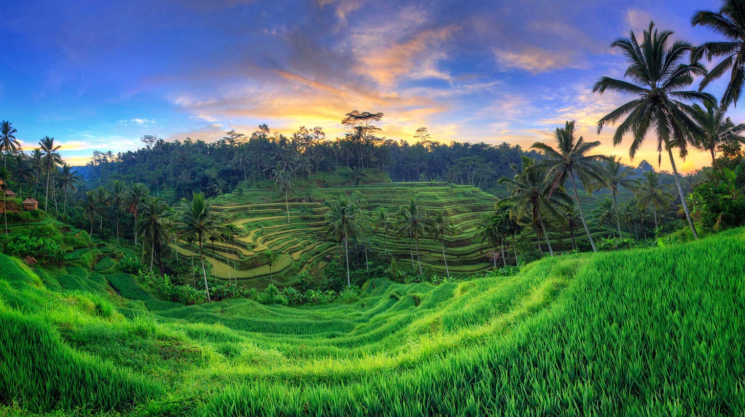 How to Spend 48 Hours in Ubud, Bali