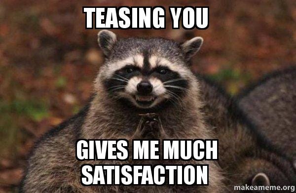 Teasing you Gives me much satisfaction - Evil Plotting Raccoon ...