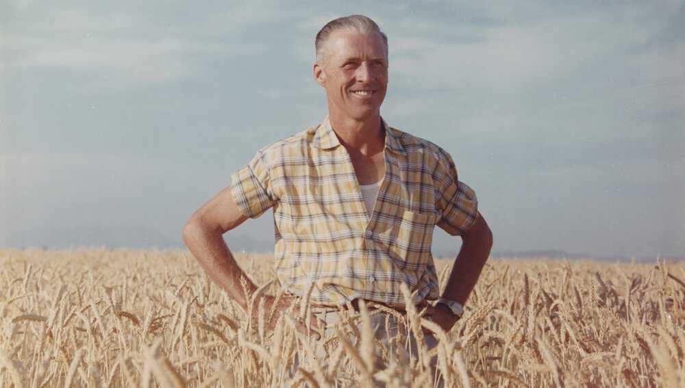 The Green Revolution: Norman Borlaug and the Race to Fight Global Hunger |  American Experience | Official Site | PBS