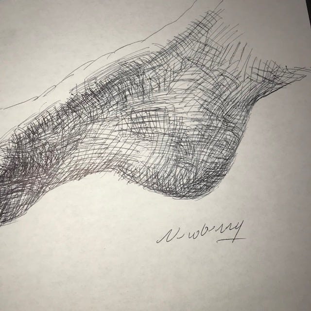 Newberry, ink studies of model's right heel