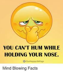 YOU CAN'T HUM WHILE HOLDING YOUR NOSE fOur Happy Life Page Mind Blowing  Facts | Meme on ME.ME