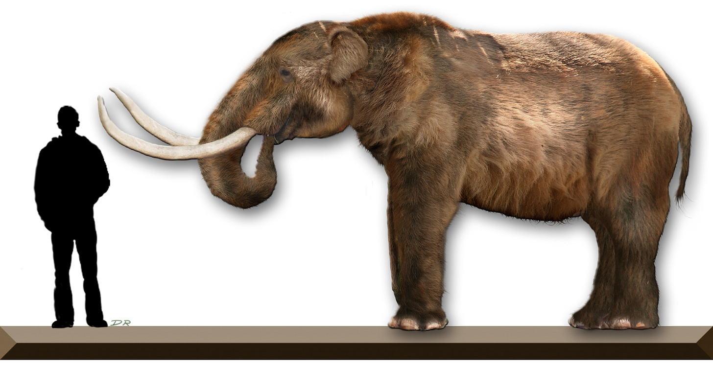 Image of a human and a mastodon. Dantheman9758 at the English Wikipedia, CC BY-SA 3.0 <http://creativecommons.org/licenses/by-sa/3.0/>, via Wikimedia Commons