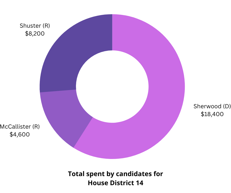 Decorative. Pie chart showing amounts spent by each candidate. Sherwood 18,400. McCallister 4,600. Shuster 8,200.