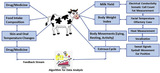 Livestock Care, and how data science and machine learning can be used to study the animal.
