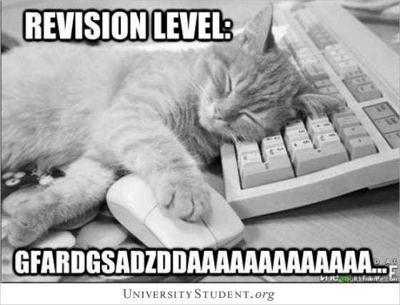 ✓ Revision level cat meme | UniversityStudent.org