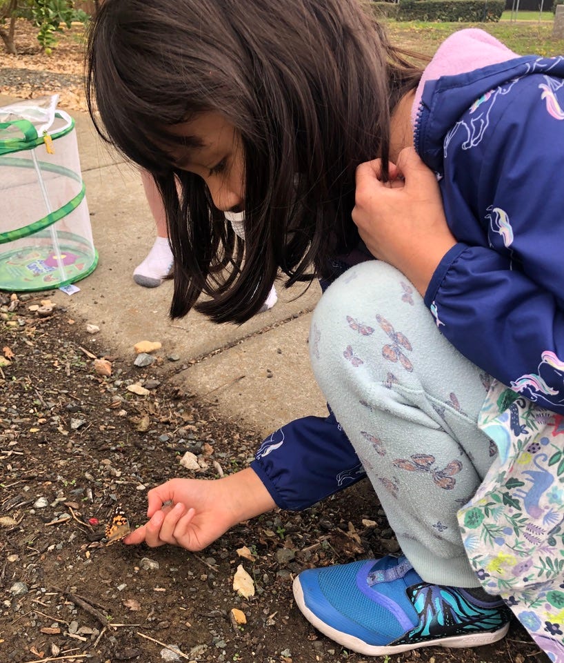 Girl holding butterfly on her finger