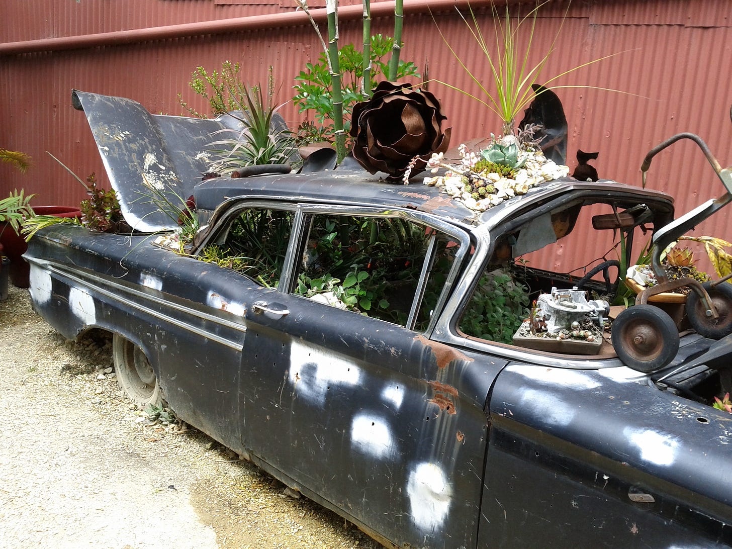Car pretending to be a planter; plants growing from its roof, engine, seats, and trunk.