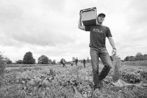 David Bobanick, courtesy of Rotary First Harvest