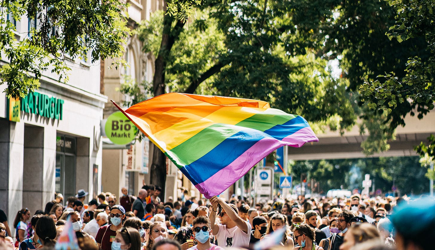 Titelbild: Demo in einer Innenstadt im Sommer: Mensch schwenkt eine große Pride-Flagge und steht in einem Meer von Menschen.