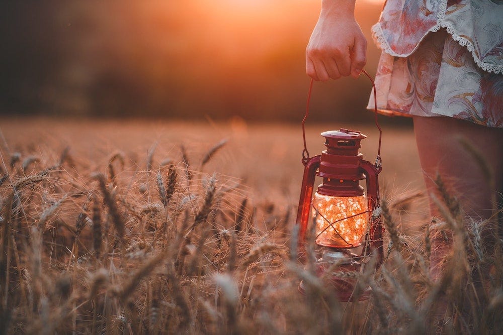 Woman's arm holding a lantern filled with fireflies while walking through long grass at dusk.