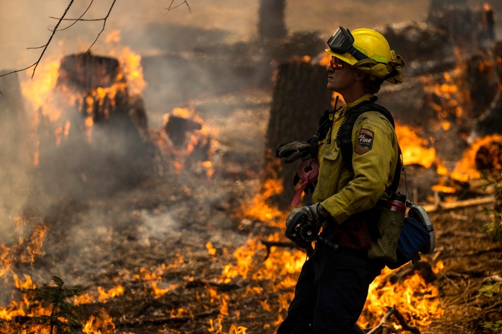 A CalFire firefighter monitors a tree as a backfire burns along Wawona Road during the Washburn Fire in Yosemite National Park, Calif. Monday, July 11, 2022.