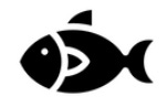Fish — Pesce