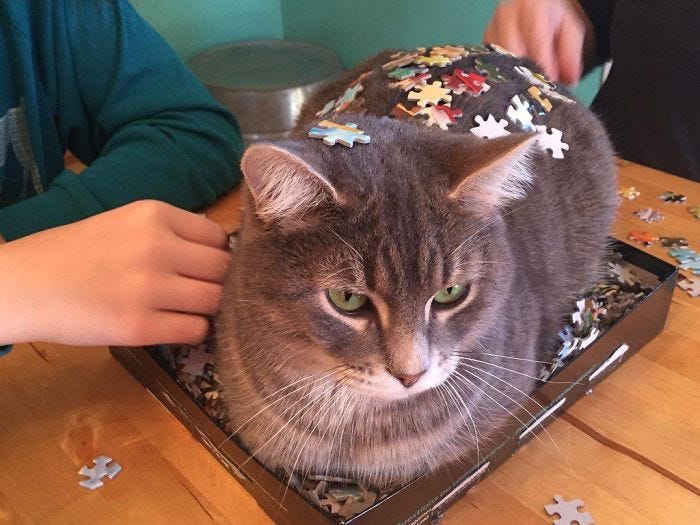 30 Photos That Show The Reality Of Trying To Finish A Puzzle With Your Cat  | Bored Panda