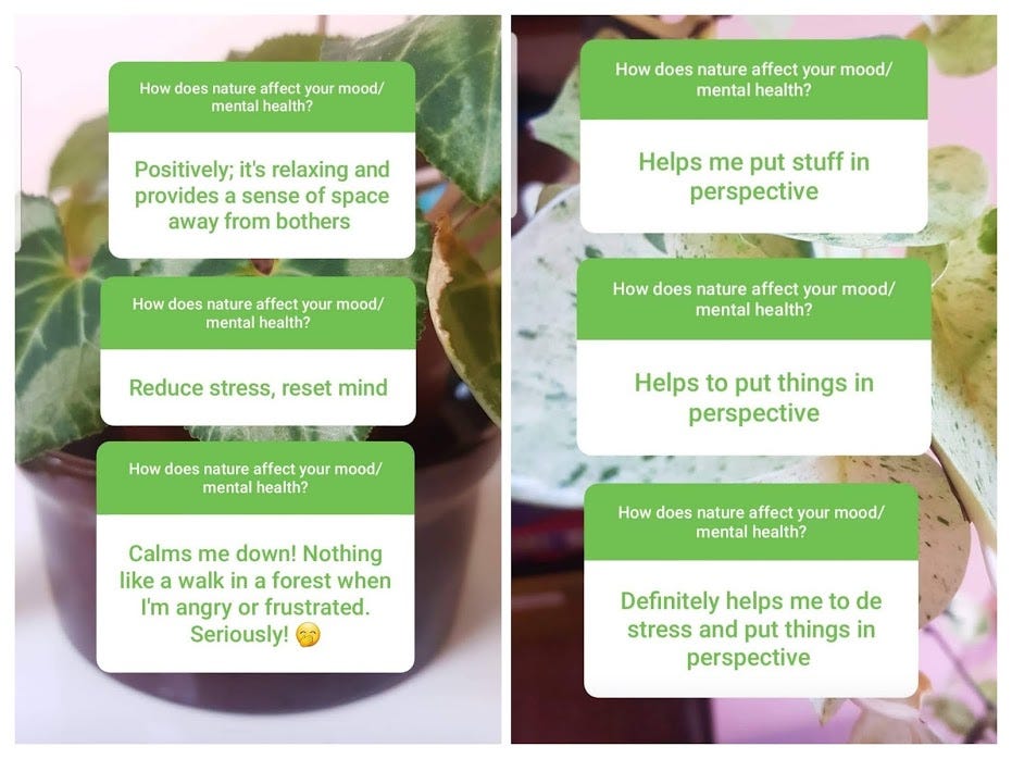 Instagram Story responses on how nature affects your mood. Responses: positiviely, reduces stress, calms me down, helps me put things in perspective
