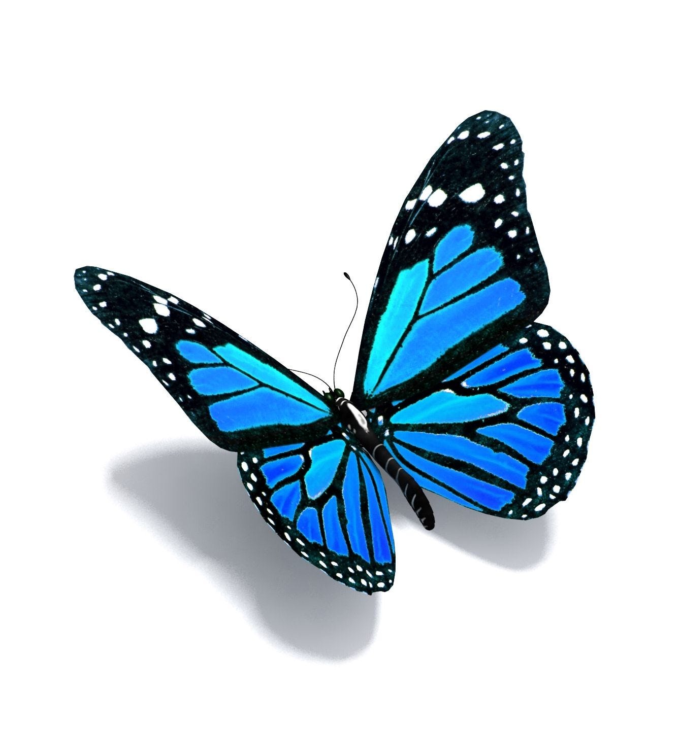 Stan&#39;s Apple 26: Butterflies Welcome | Blue butterfly tattoo, 3d butterfly  tattoo, Blue butterfly