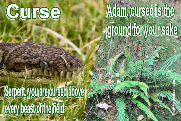Curse. The Serpent is cursed about every other animal. The ground is cursed for Adam’s sake.