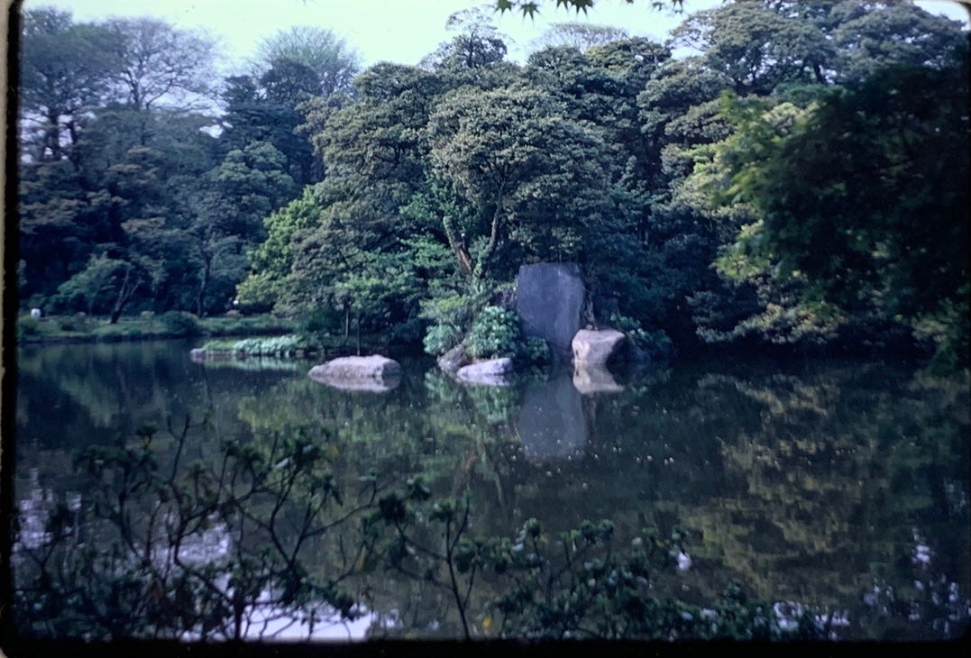 A lake surrounded by lush greenery and a smattering of rocks.