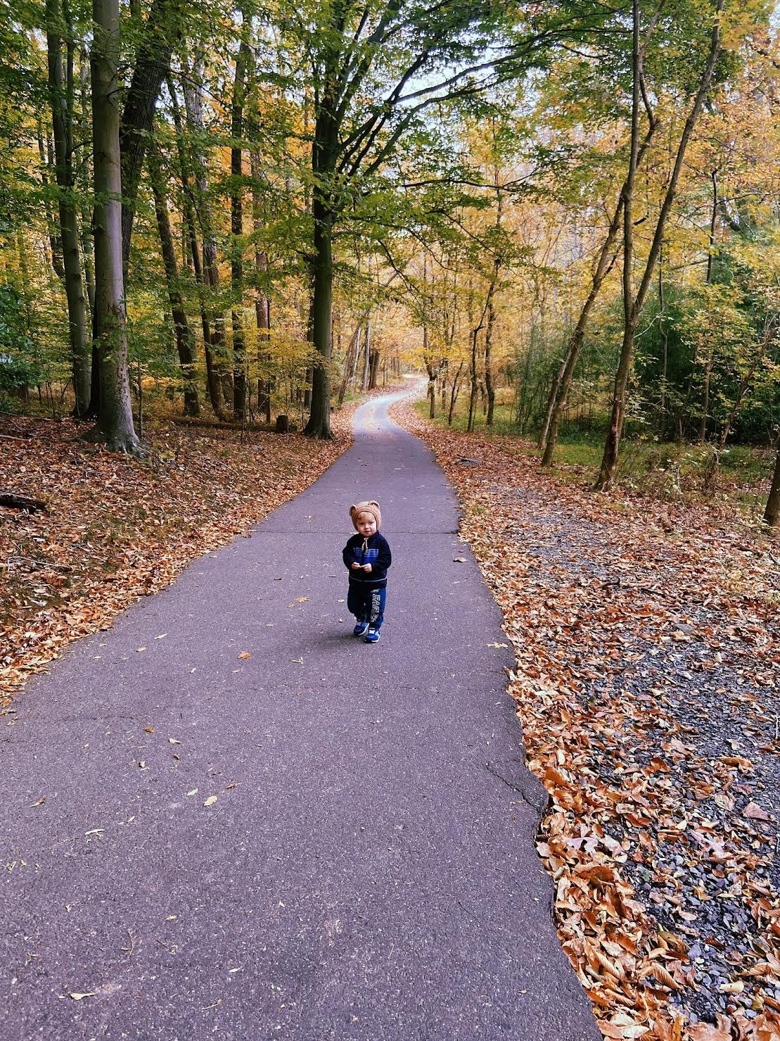 child walking along paved path with fall foliage on either side