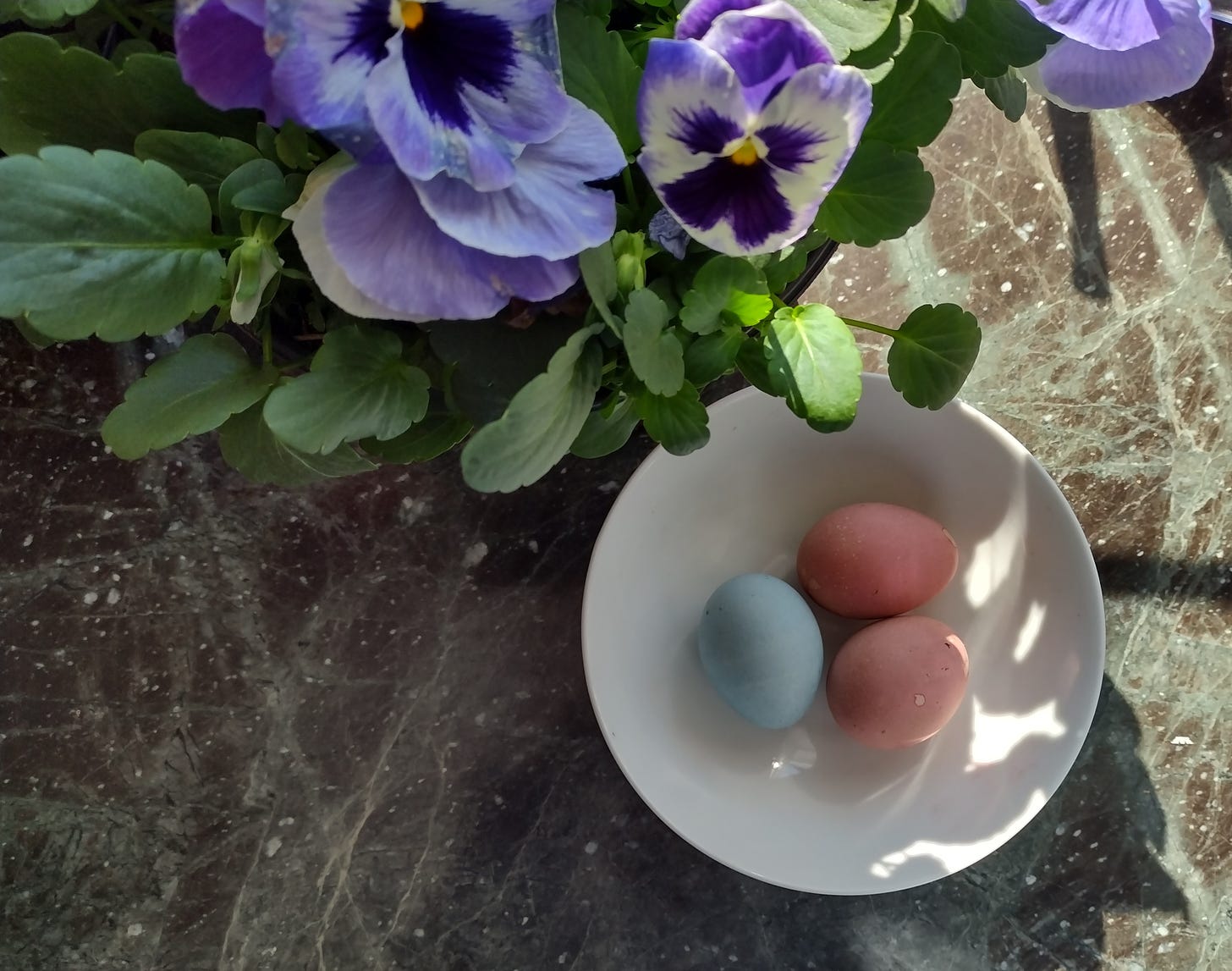 natural dyed Easter eggs