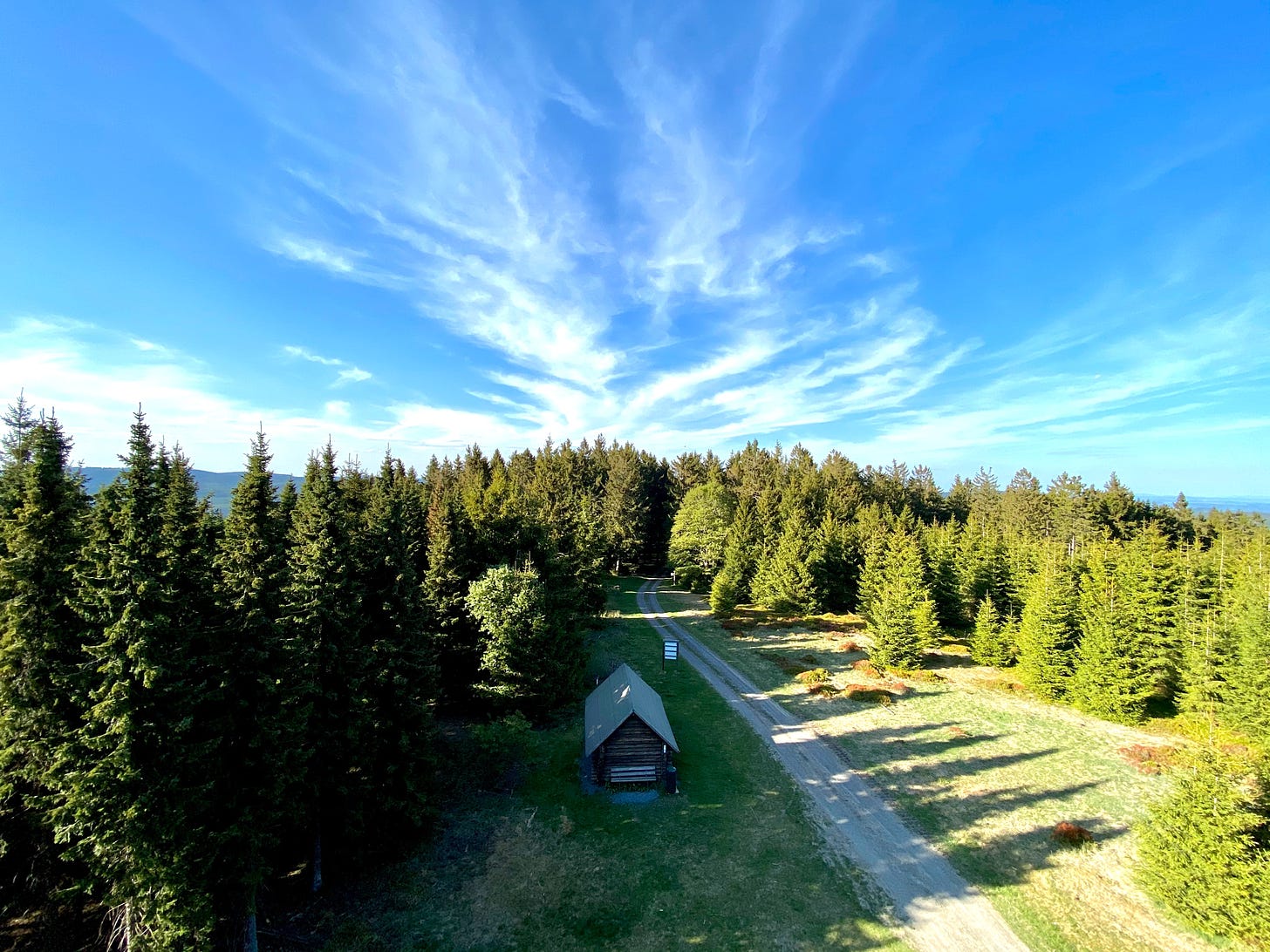 Titelbild: Das Sauerland bei Winterberg, vorne grüner Nadelwald mit in Richtung Horizont verlaufendem Waldweg und einer Hütte am Rand, im Hintergrund blauer Himmel mit Schleierwolken.