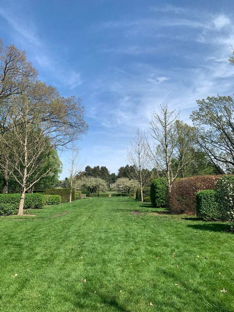 Photo of the hedge garden, with bare spring trees but green grass and growing hedges.