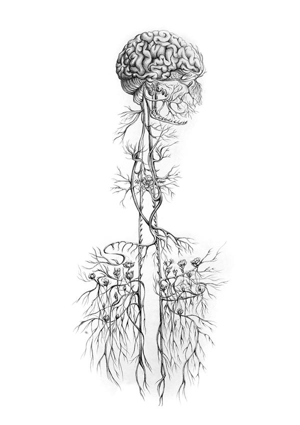 Botanical Nerves Illustration on Behance