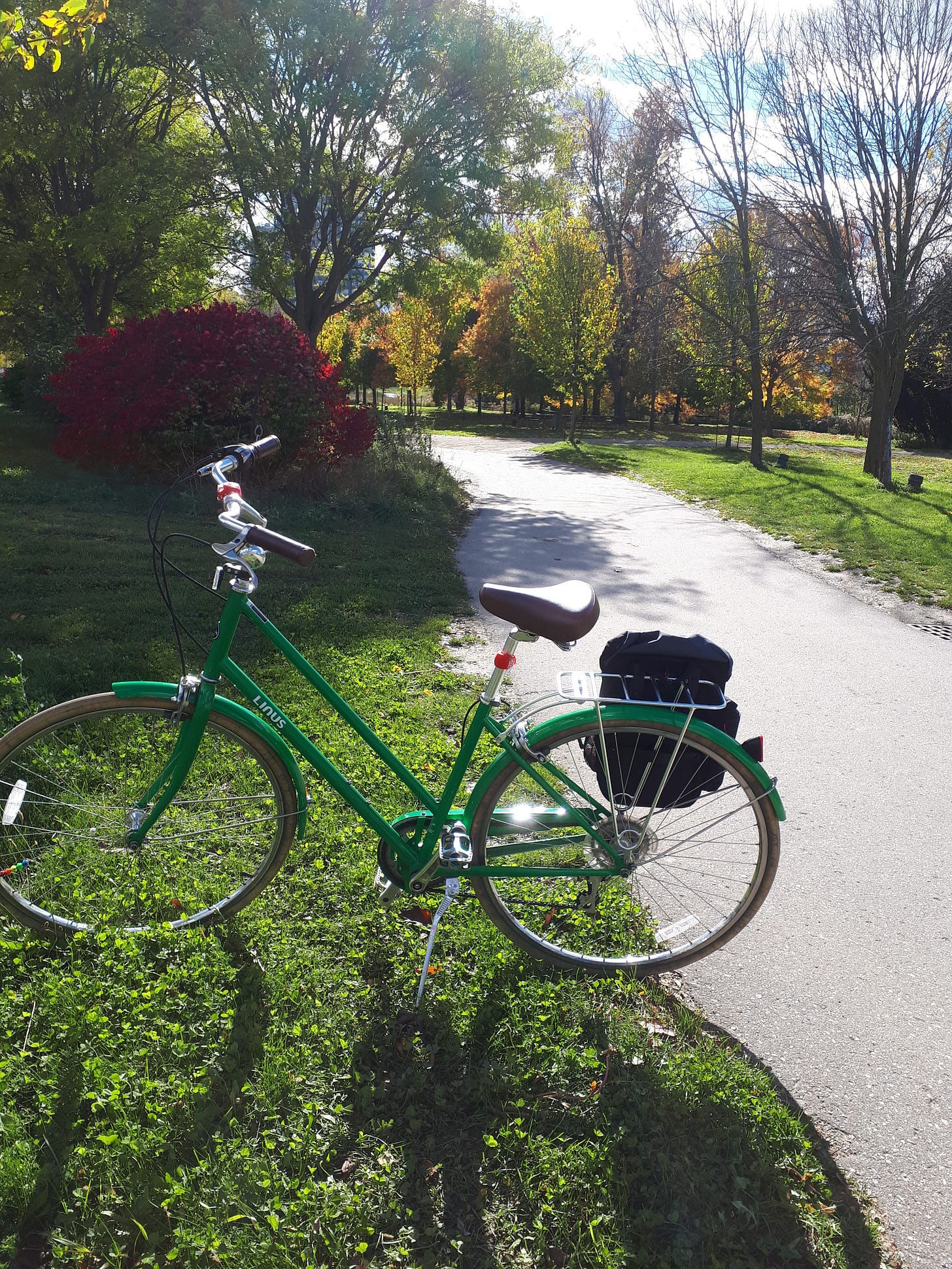 Green dutch-style bike alongside a park trail. on a sunny day.