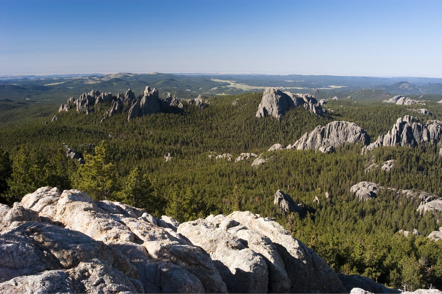 Black Hills Camping: 11 Campgrounds in This Unique South Dakota Forest