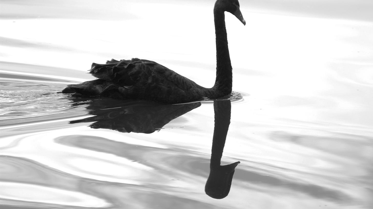 Black Swan Event: Meaning & Examples | Seeking Alpha